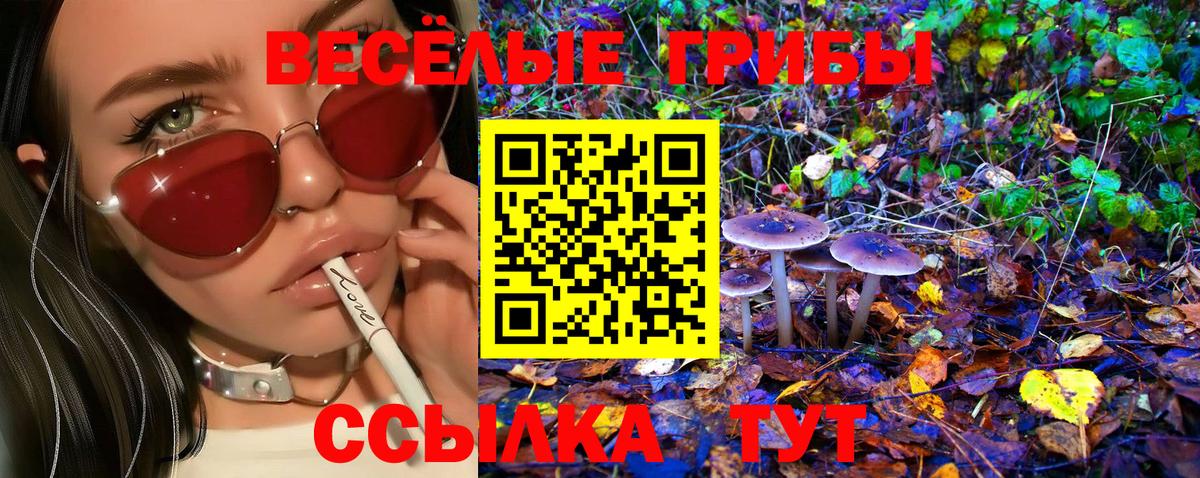 Псилоцибиновые грибы GOLDEN TEACHER Бердск